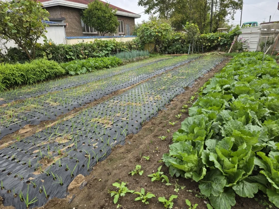 KakaoTalk_20241023_173909117_07.jpg?type=w1