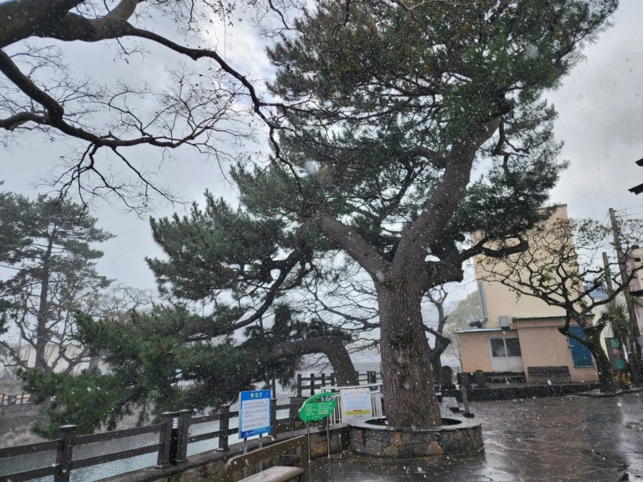 KakaoTalk_20221228_163817525_09.jpg?type=w1