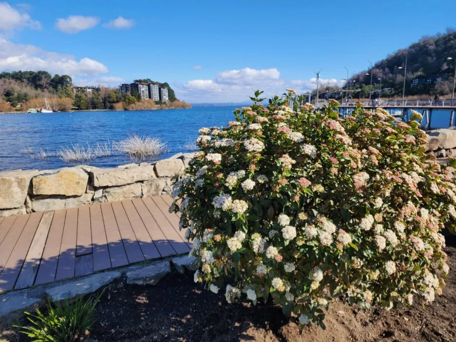 KakaoTalk_20240727_155208184_25.jpg?type=w1