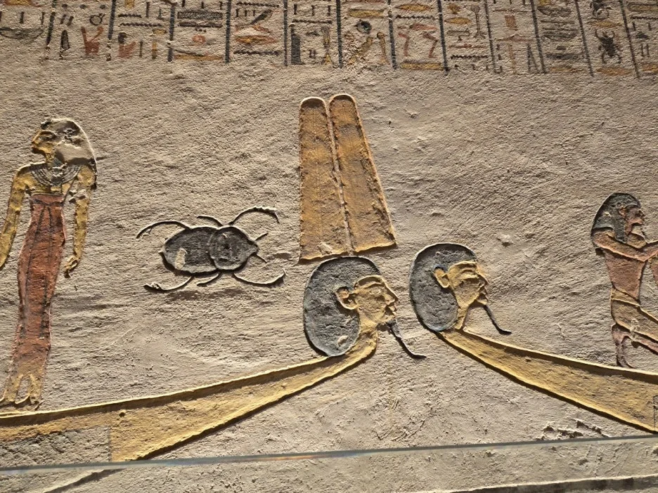 KakaoTalk_20250226_205846816_11.jpg?type=w1