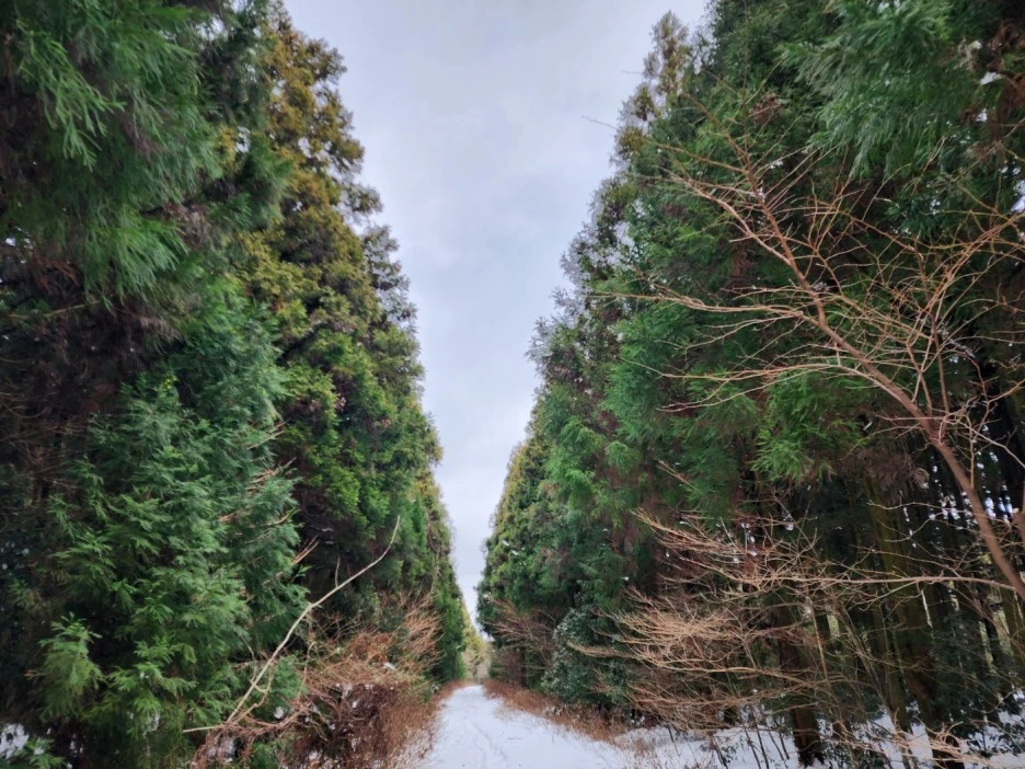 KakaoTalk_20230105_062708700_03.jpg?type=w1