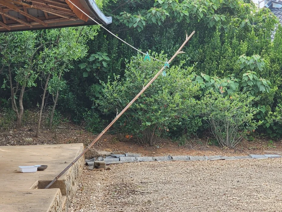 KakaoTalk_20240607_201223809_12.jpg?type=w1