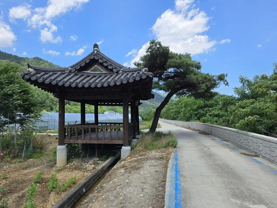 KakaoTalk_20250623_033304342_05.jpg?type=w1