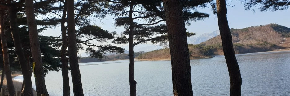 SE-b3273a25-857b-4129-9d1f-4c5a3269fe10.jpg?type=w1