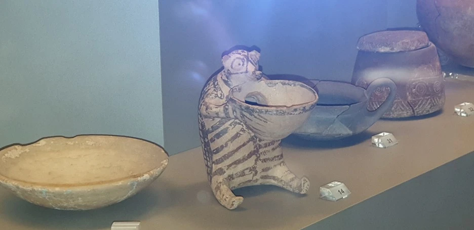 20220501_091353.jpg?type=w1