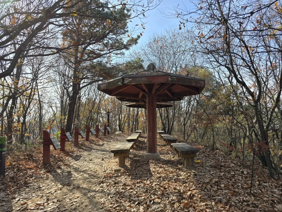 KakaoTalk_20241126_043411154_28.jpg?type=w1