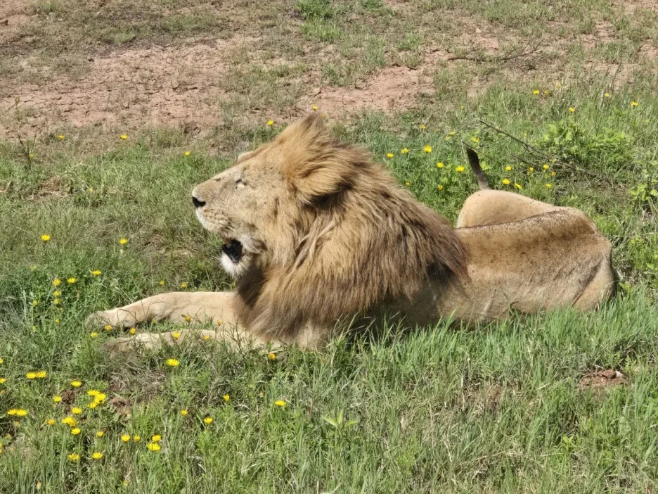 KakaoTalk_20250405_153555823_29.jpg?type=w1