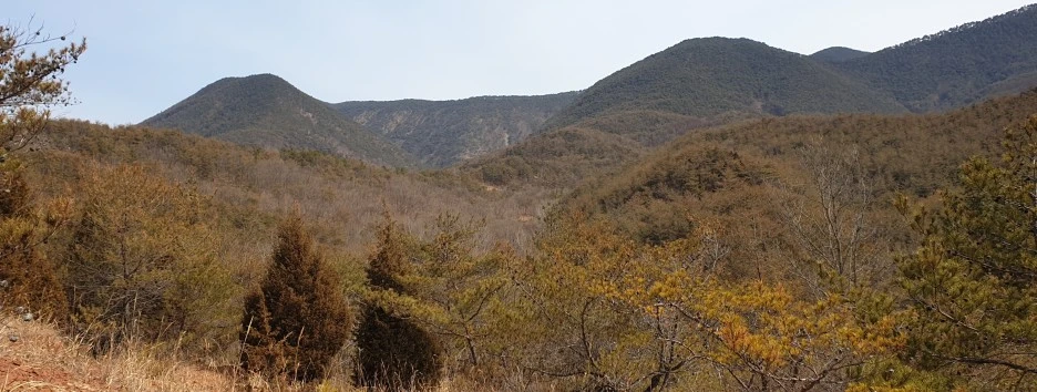 SE-b46d6a95-ae84-4dc1-af4d-feb0bbe37b4c.jpg?type=w1