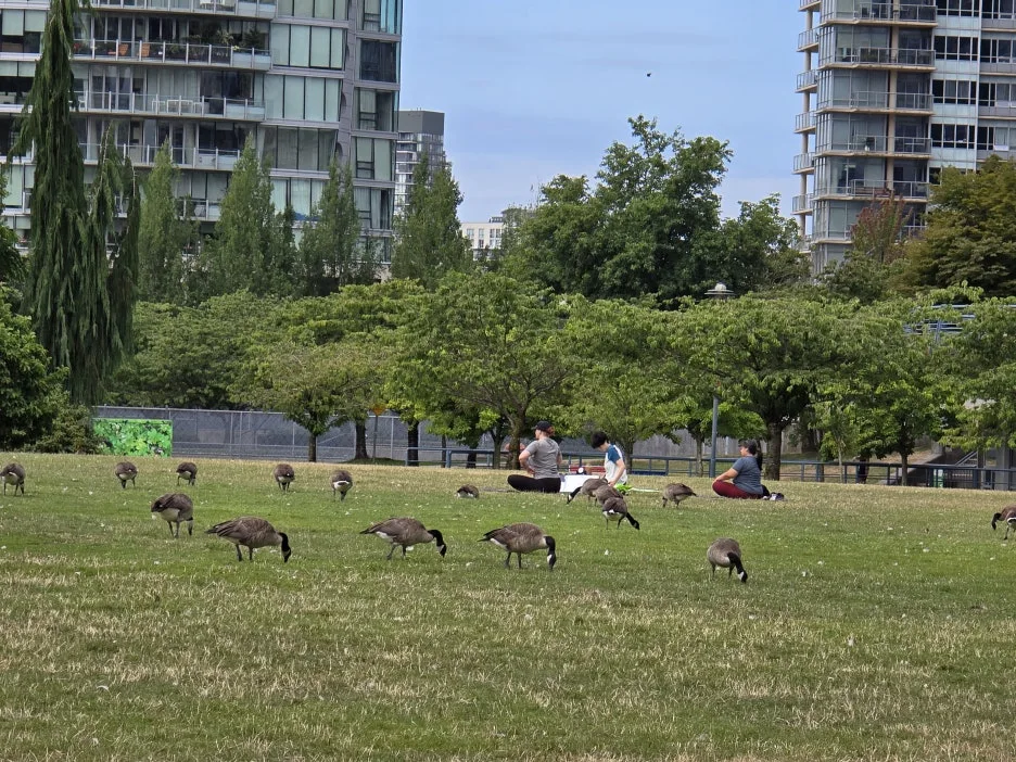 KakaoTalk_20250724_030728455_01.jpg?type=w1