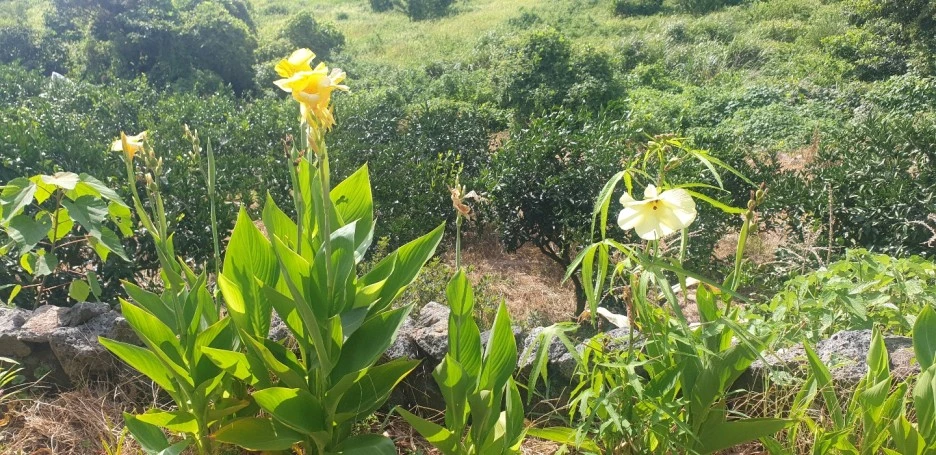 KakaoTalk_20220831_114810655_04.jpg?type=w1