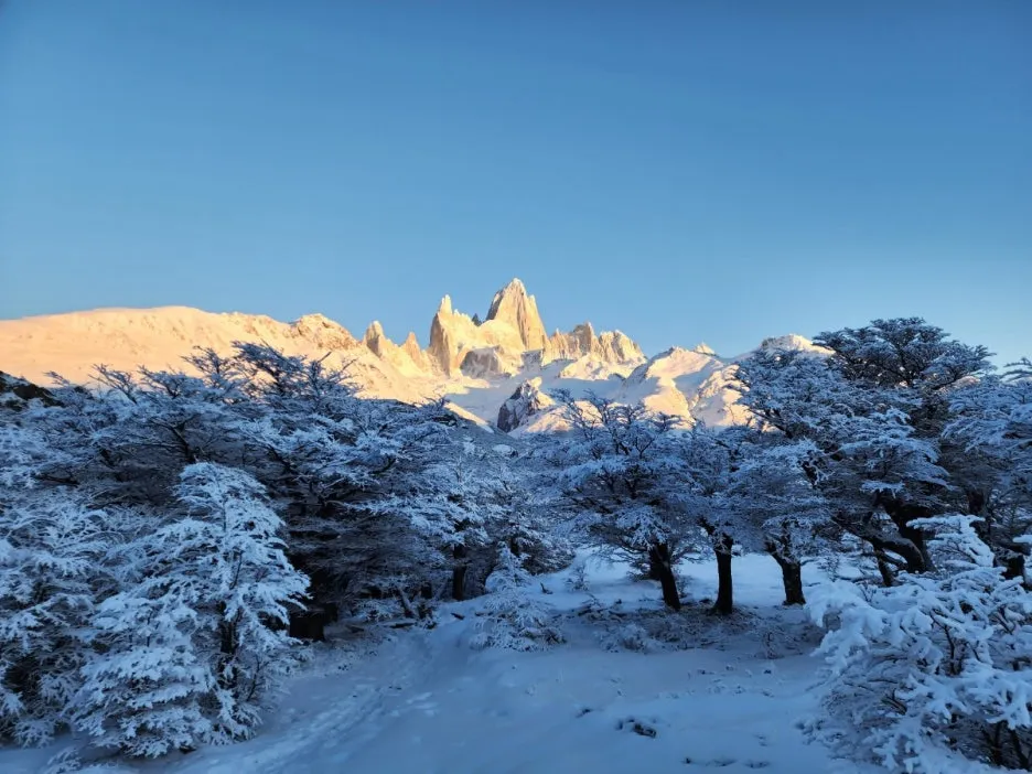 KakaoTalk_20240809_044224426_16.jpg?type=w1