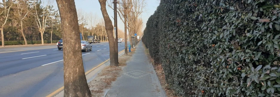 SE-fb03afa3-0416-431c-b432-d7049e1e30ca.jpg?type=w1