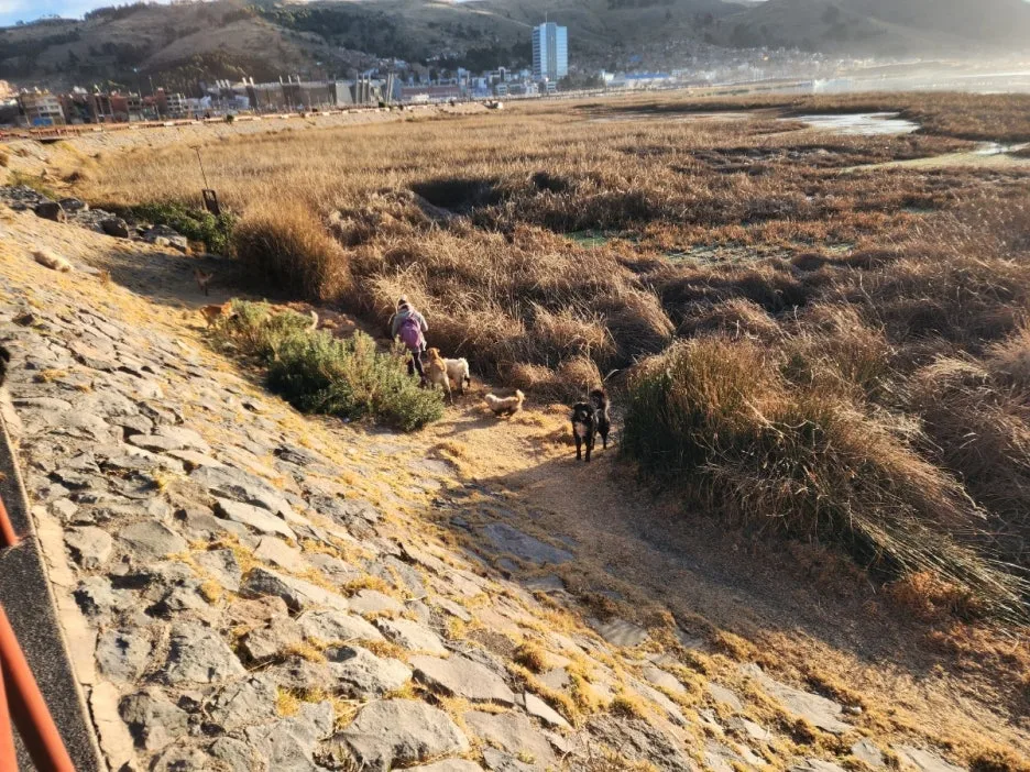 KakaoTalk_20240714_214625738_09.jpg?type=w1