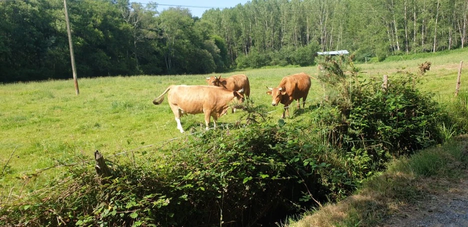 KakaoTalk_20220614_013644696_05.jpg?type=w1