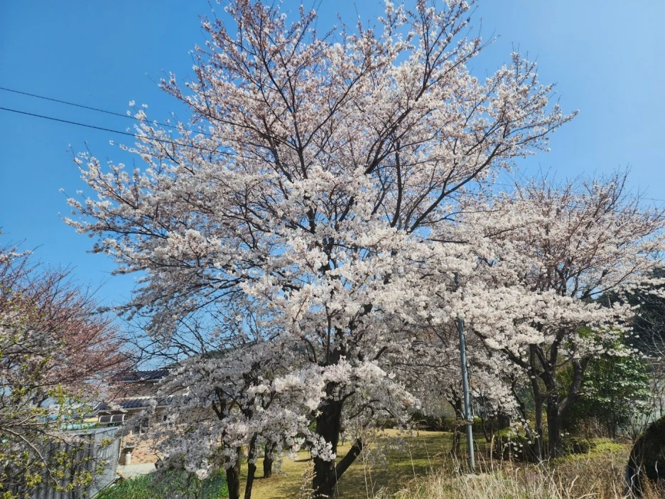 KakaoTalk_20230331_034558069_19.jpg?type=w1