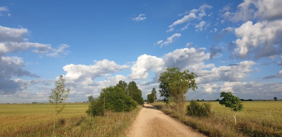 KakaoTalk_20220603_002339802_04.jpg?type=w1