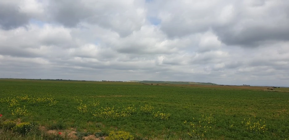 KakaoTalk_20220531_012108351_02.jpg?type=w1