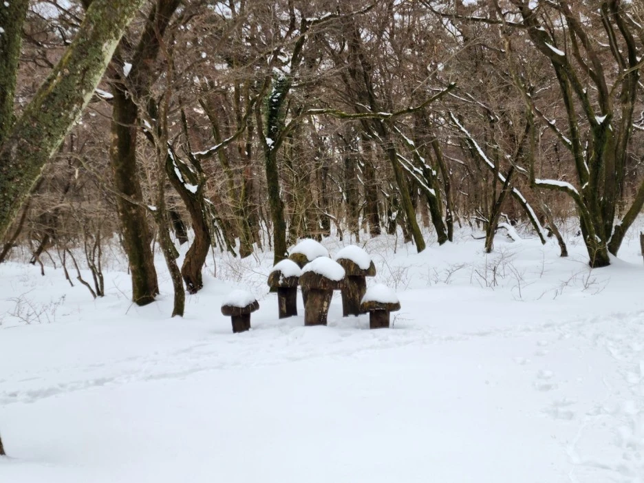 KakaoTalk_20230105_062519860_03.jpg?type=w1