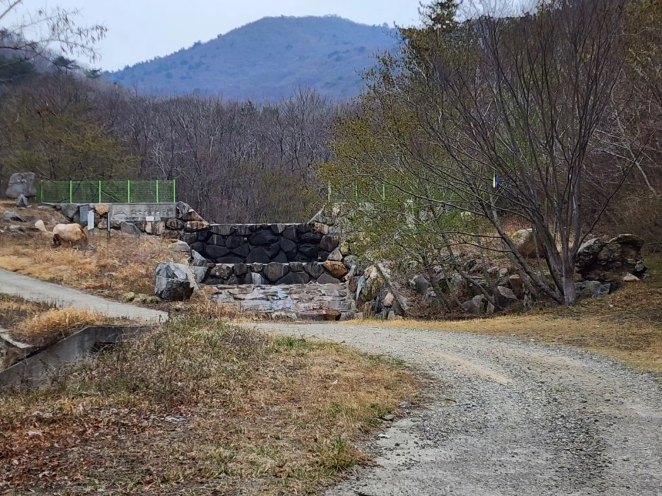 KakaoTalk_20230322_020016994_03.jpg?type=w1