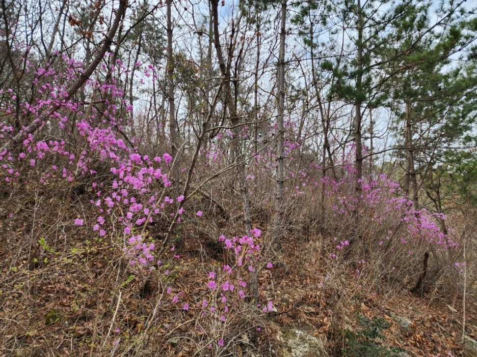 KakaoTalk_20230321_044106683_15.jpg?type=w1