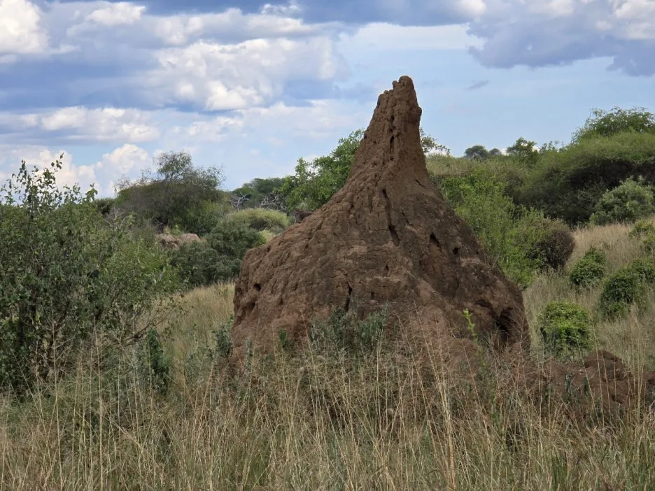 KakaoTalk_20250405_112215504_27.jpg?type=w1