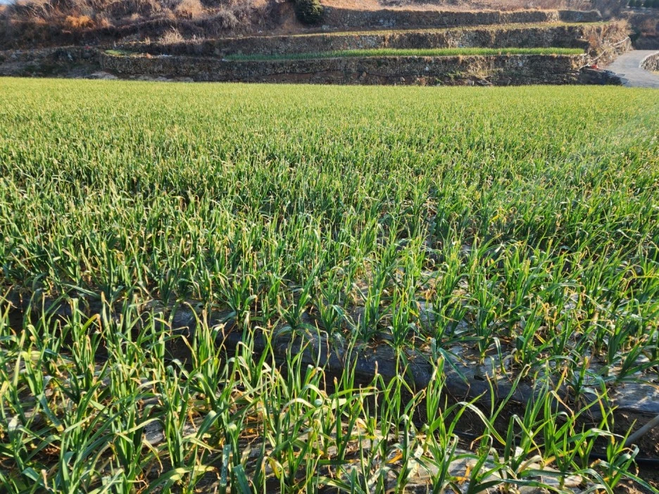 KakaoTalk_20230225_101021632_04.jpg?type=w1