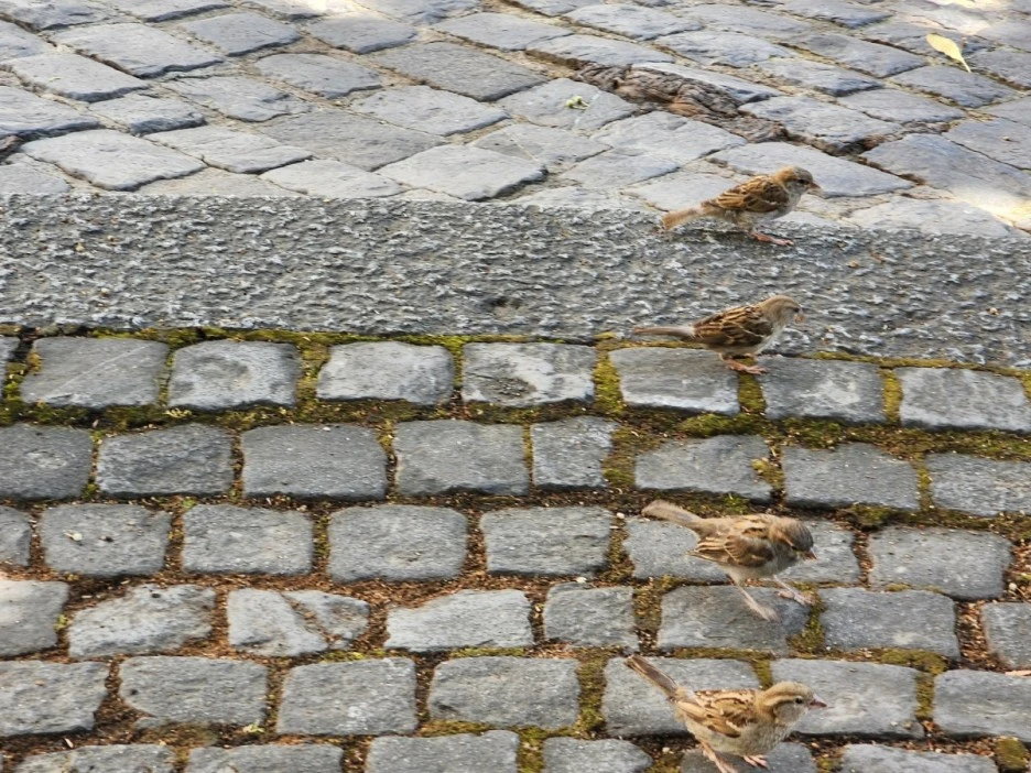 KakaoTalk_20230715_021023997.jpg?type=w1