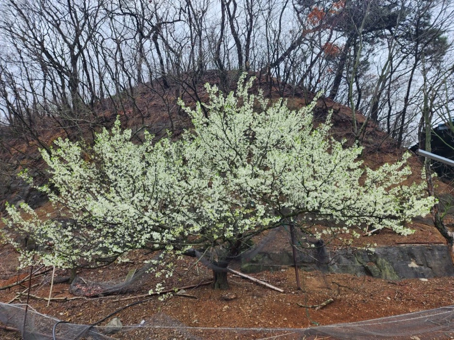 KakaoTalk_20230324_023416967_09.jpg?type=w1