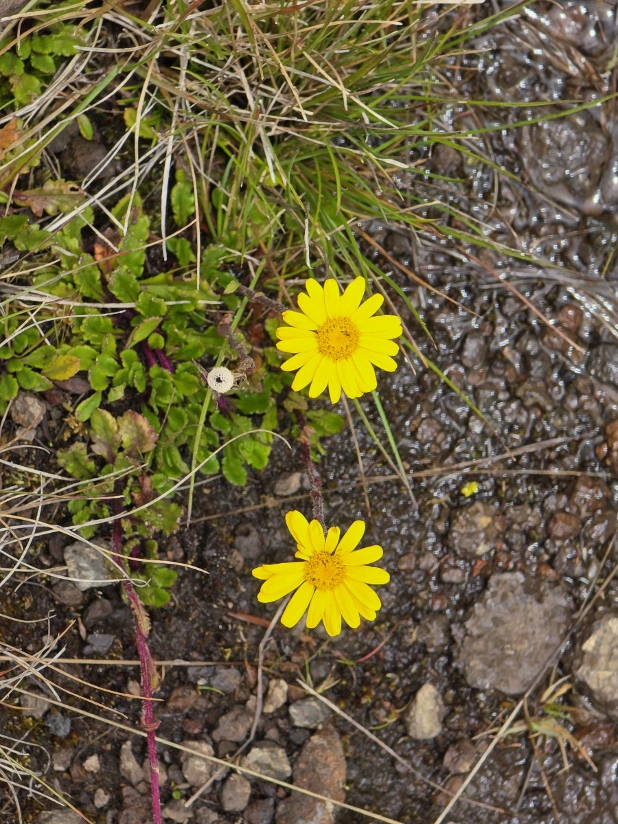 KakaoTalk_20250405_061148519_21.jpg?type=w1