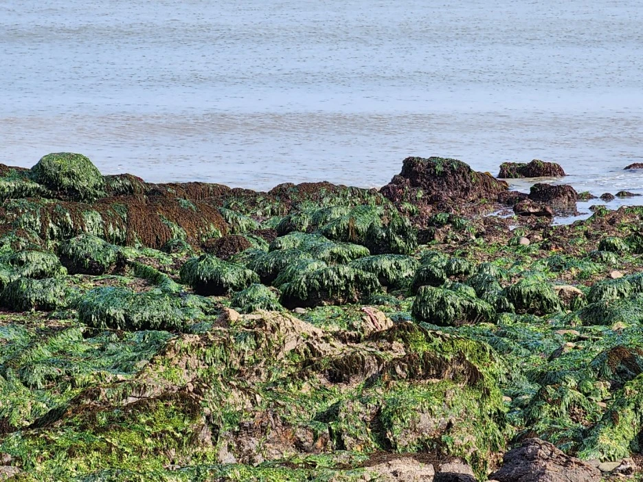 KakaoTalk_20240508_155917921.jpg?type=w1