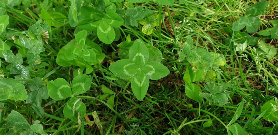 KakaoTalk_20220611_193638292_12.jpg?type=w1