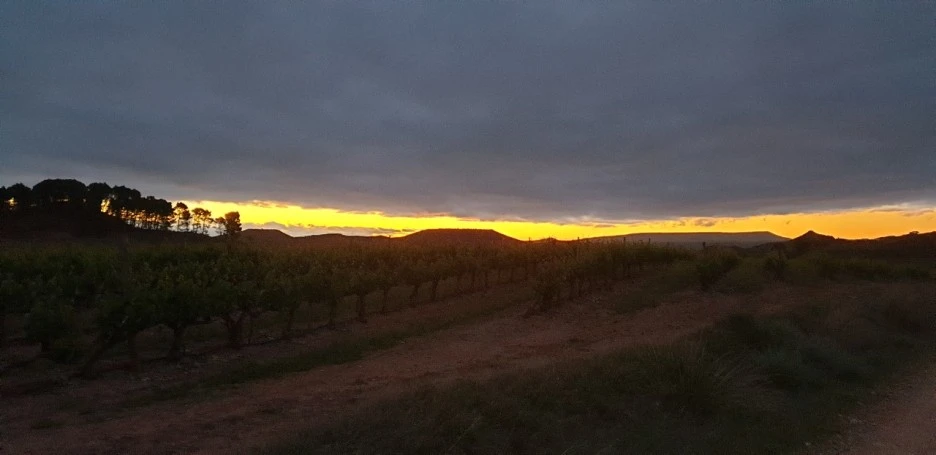 KakaoTalk_20220528_044008719_04.jpg?type=w1