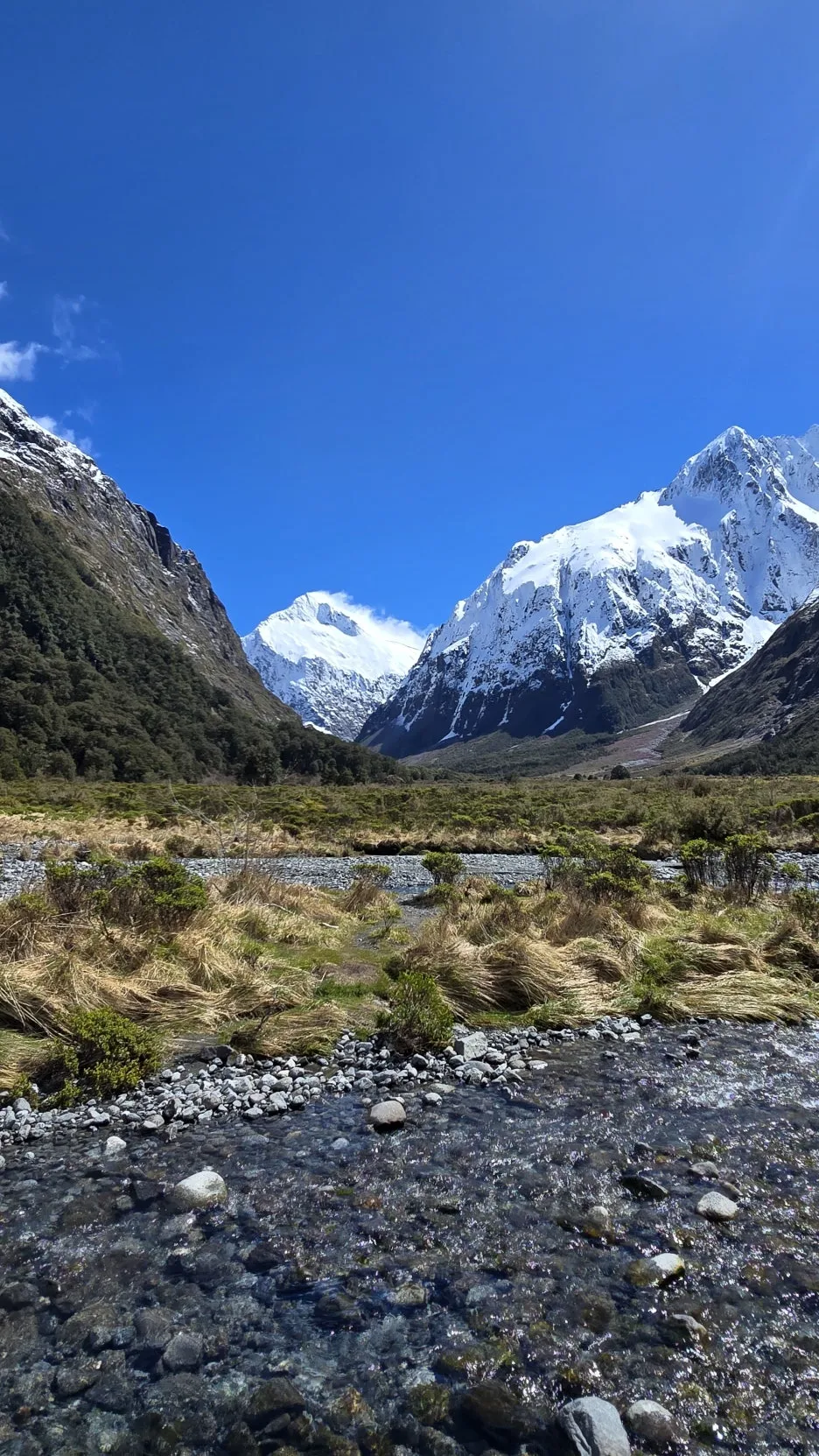 KakaoTalk_20251102_124847318_08.jpg?type=w1