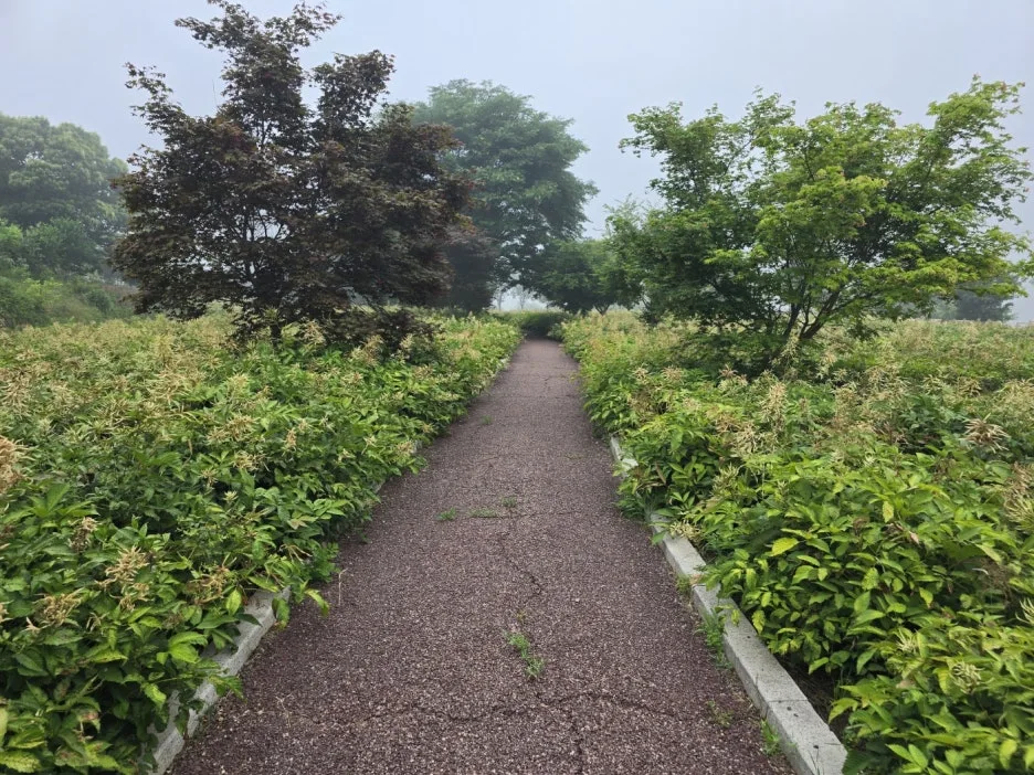 KakaoTalk_20250618_170048774_05.jpg?type=w1