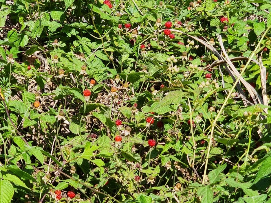 KakaoTalk_20240515_001430344_24.jpg?type=w1