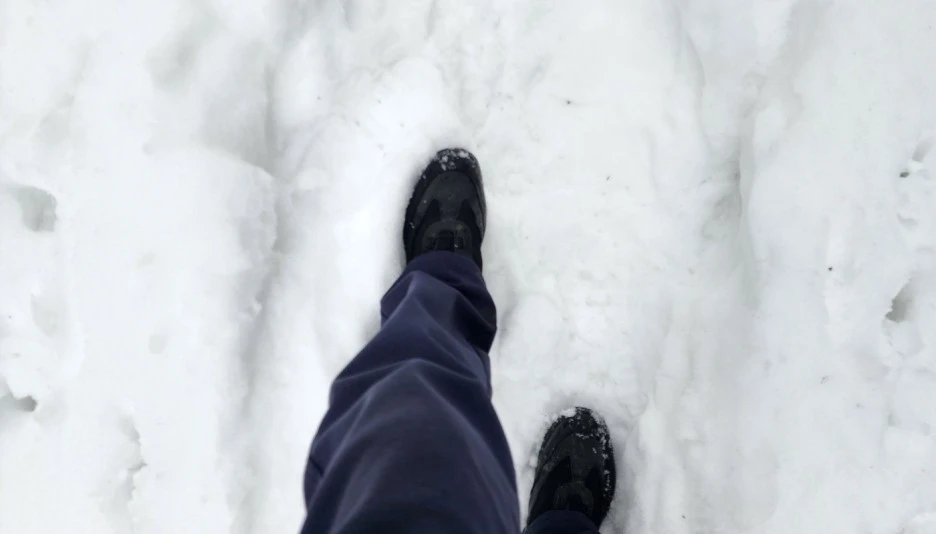 SE-7db4299d-2f65-4d73-84ce-f7c6147c383f.jpg?type=w1