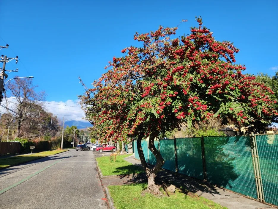 KakaoTalk_20240727_155208184_24.jpg?type=w1