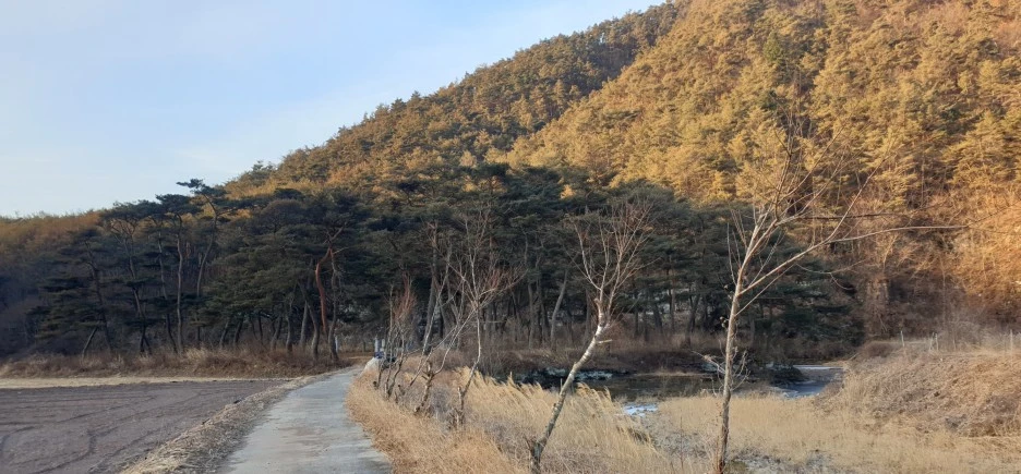 SE-3041b60c-0563-41c4-aec7-5f4ac000563c.jpg?type=w1