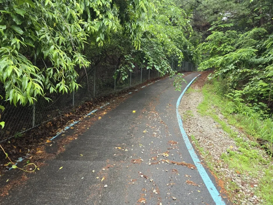 KakaoTalk_20250616_162403225_04.jpg?type=w1