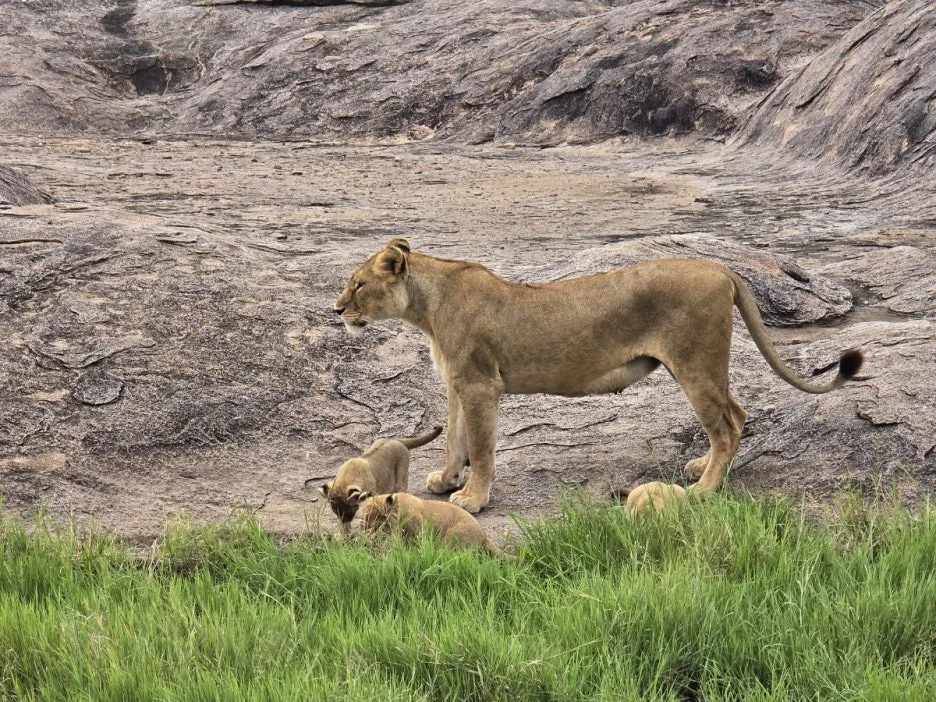 KakaoTalk_20250405_134443007_22.jpg?type=w1