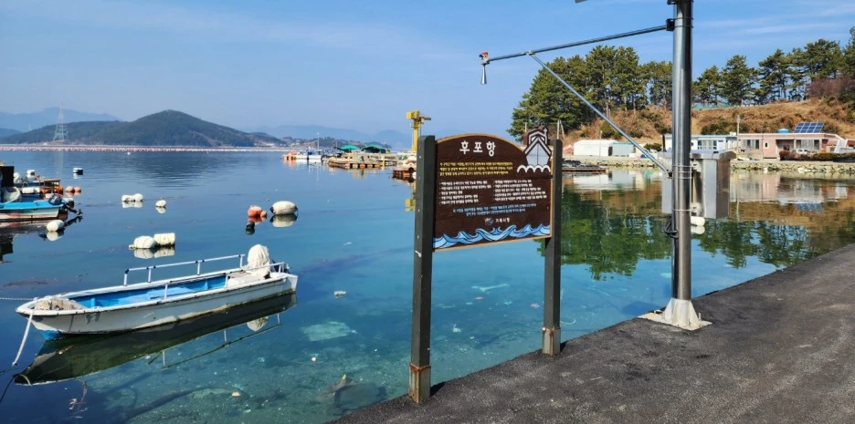 SE-72d0ffbc-1163-4d9f-8eb3-6cef998fe311.jpg?type=w1