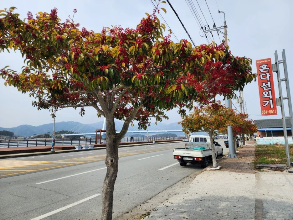 KakaoTalk_20230331_035853682_24.jpg?type=w1