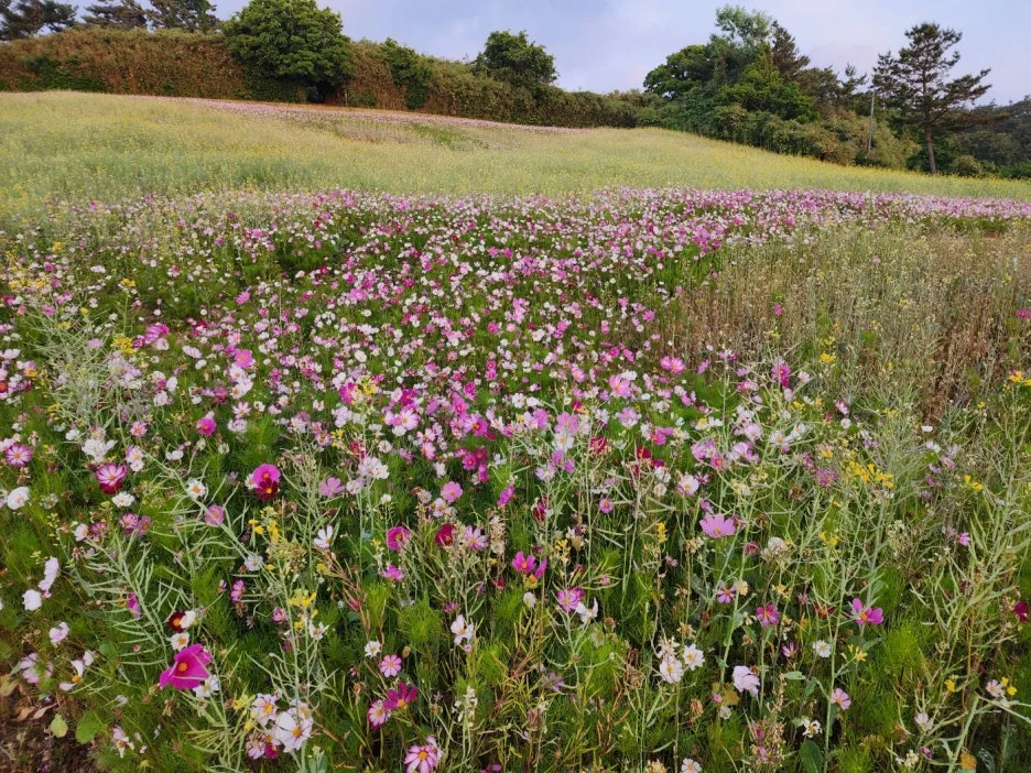 KakaoTalk_20240605_161917270_07.jpg?type=w1