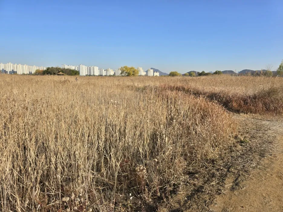 KakaoTalk_20241126_043411154_22.jpg?type=w1