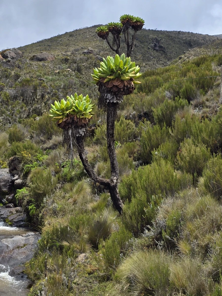 KakaoTalk_20250405_061148519_20.jpg?type=w1