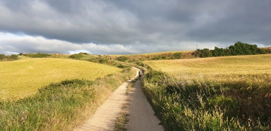 KakaoTalk_20220524_081633911_03.jpg?type=w1