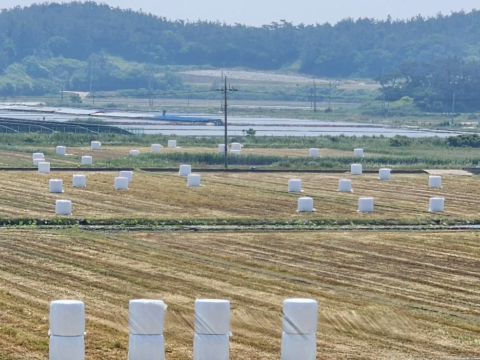 KakaoTalk_20240524_153803234_21.jpg?type=w1