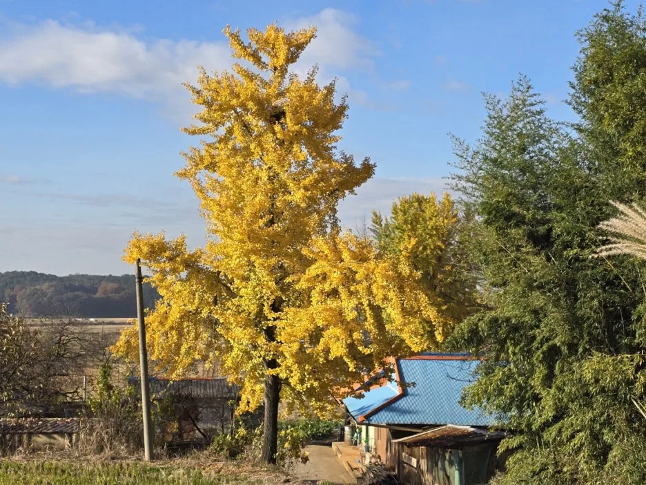 KakaoTalk_20241117_054428410_10.jpg?type=w1