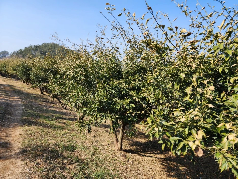 KakaoTalk_20230209_071828550_07.jpg?type=w1