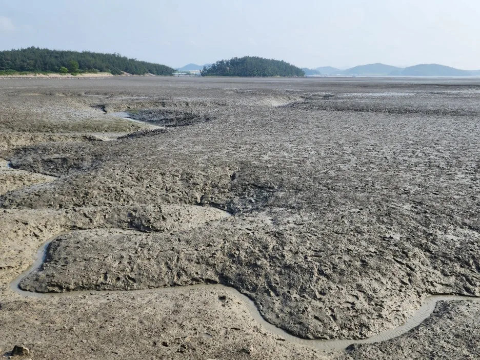 KakaoTalk_20240525_165017986_10.jpg?type=w1